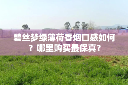碧丝梦绿薄荷香烟口感如何？哪里购买最保真？